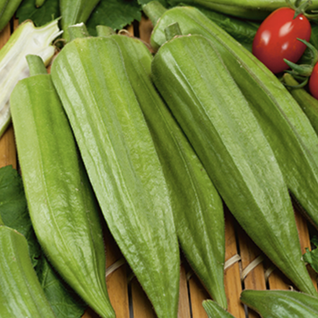 Star of David, Organic Okra Seed - Packet image number null